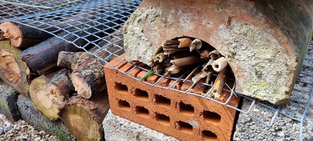 Bug Hotel